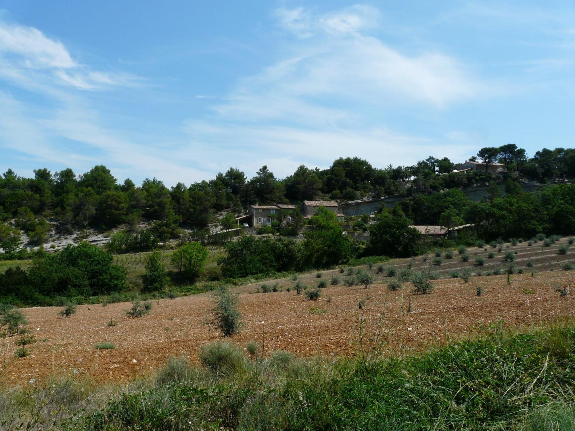 19Th Century Provencal Mas With Pool In Provence In The Luberon, Sleeps 6 Villa Lacoste  Buitenkant foto