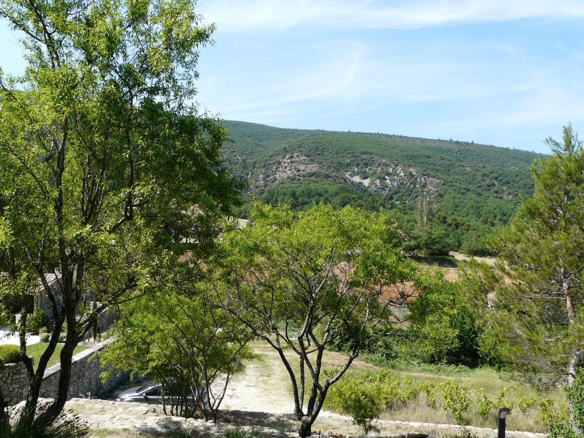 19Th Century Provencal Mas With Pool In Provence In The Luberon, Sleeps 6 Villa Lacoste  Buitenkant foto